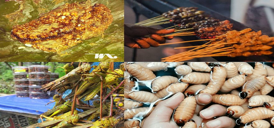 6 Kuliner Ekstrem dan Paling Populer di Indonesia, Berani Cicipi?