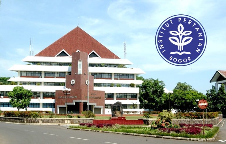 Persiapan Ujian Mandiri IPB: Tips Menjaga Fokus dan Konsistensi Belajar