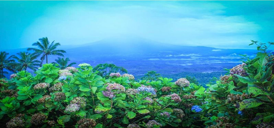 3 Tempat Wisata di Kota Manado yang Hits dan Instagramable