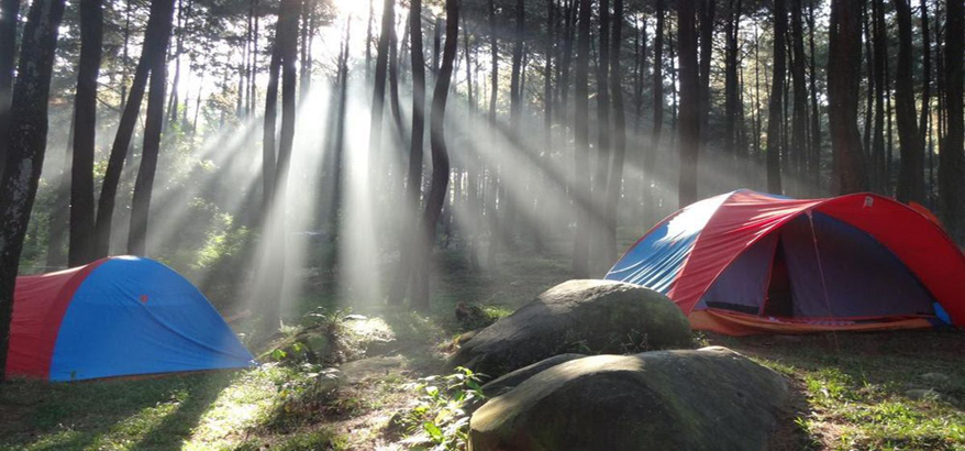 7 Tempat Wisata Alam di Bogor yang Baik untuk Self Healing